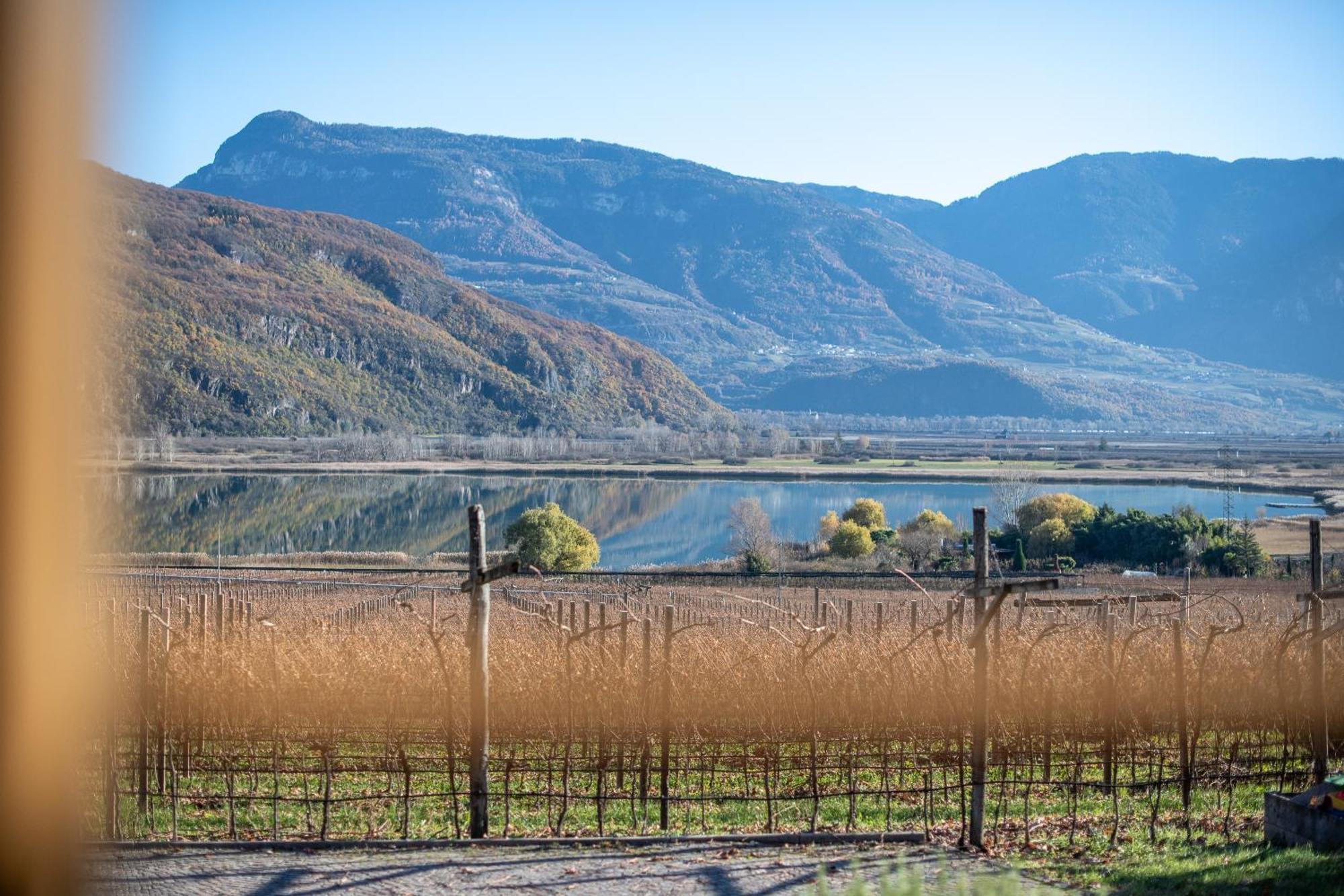 Weinhof Am See Кальдаро Екстер'єр фото